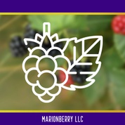 Marionberry LLC