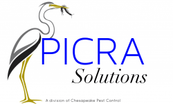 Picra Solutions