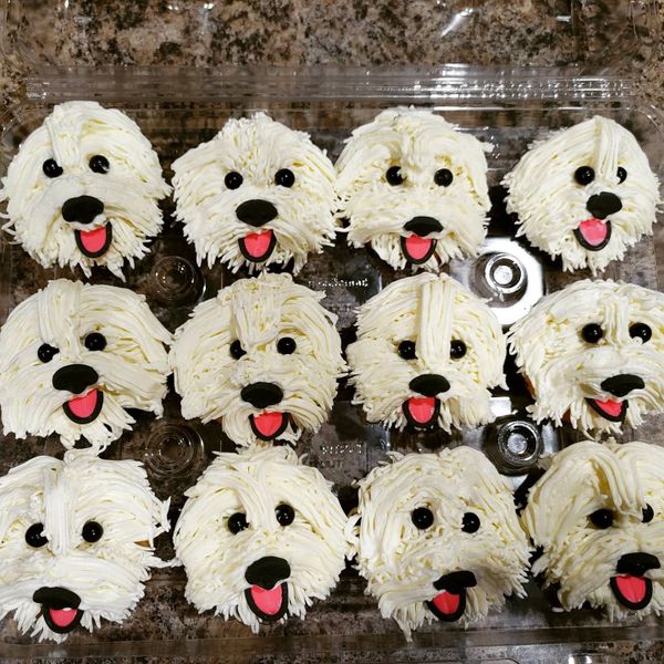 Cupcakes