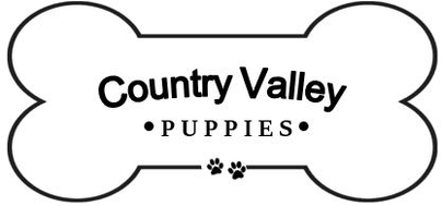 Country Valley Puppies
