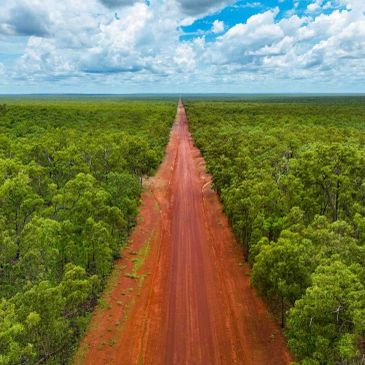 Long red dirt road cutting through dense green forest under a cloudy blue sky.