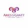 Aries S Gantt Group