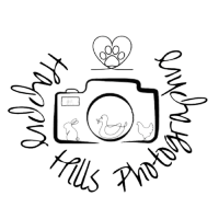 Happy Hills Photography LLC 