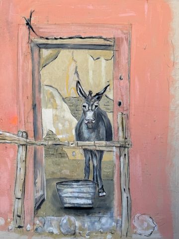 Burros. Mexico. Big Bend. Boquillas.