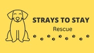 Strays To Stay Rescue