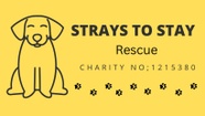 Strays To Stay Rescue