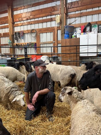 Man surrounded by sheep in a barn.