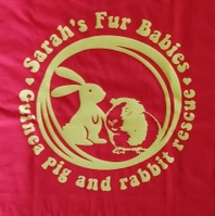 Sarah's fur babies guinea pig and rabbit rescue 