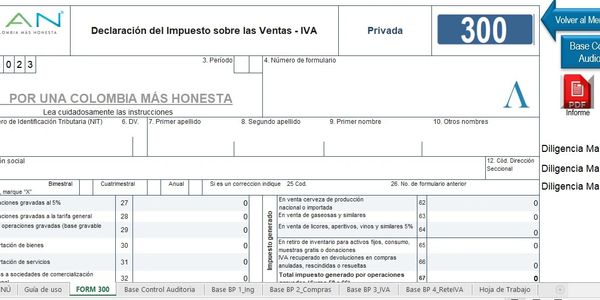 Formulario 300