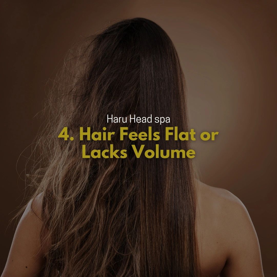 Back view of a person with long hair, showing flat and lifeless strands, with text overlay about hair volume issues.