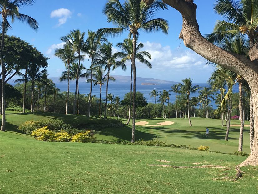 Wailea Gold Course