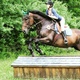 Coggin Creek Stables