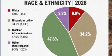 Pie chart of race and ethnicity projections for 2026.