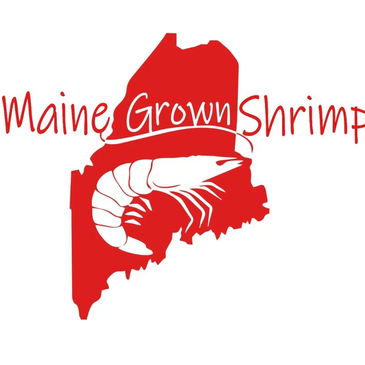 Maine Grown Shrimp