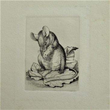 Stephen Gooden, etching of a Mouse, original print