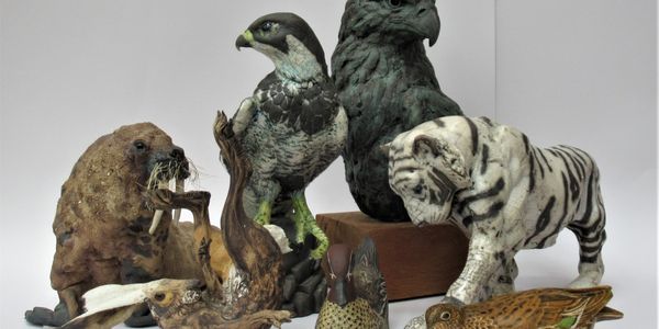 Wildlife Sculptures we have sold