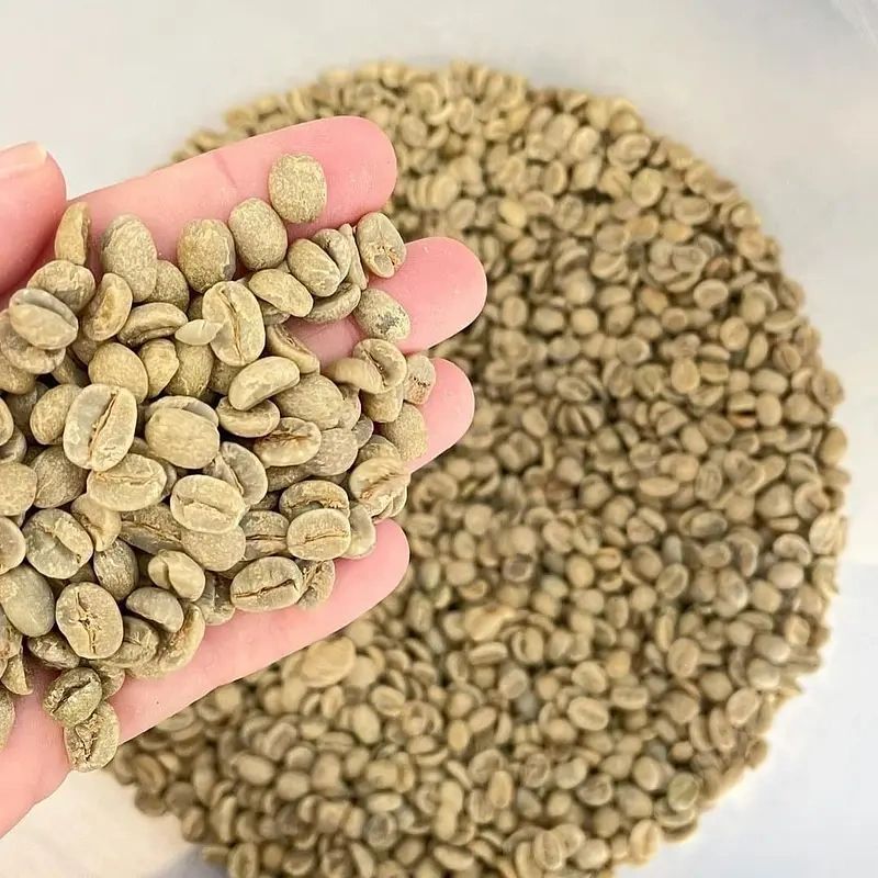 Coffee beans 