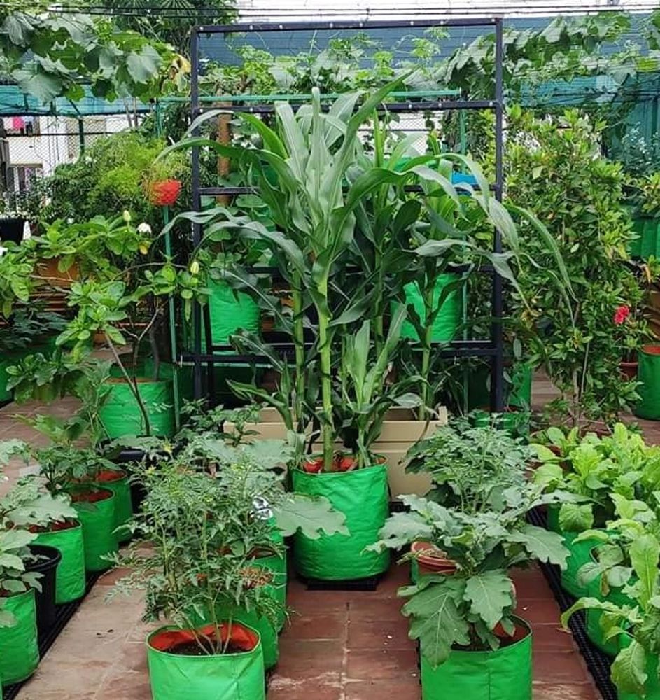 Only for Quality Terrace garden products like grow bags,watering sprayer,creeper nets  Etc.,