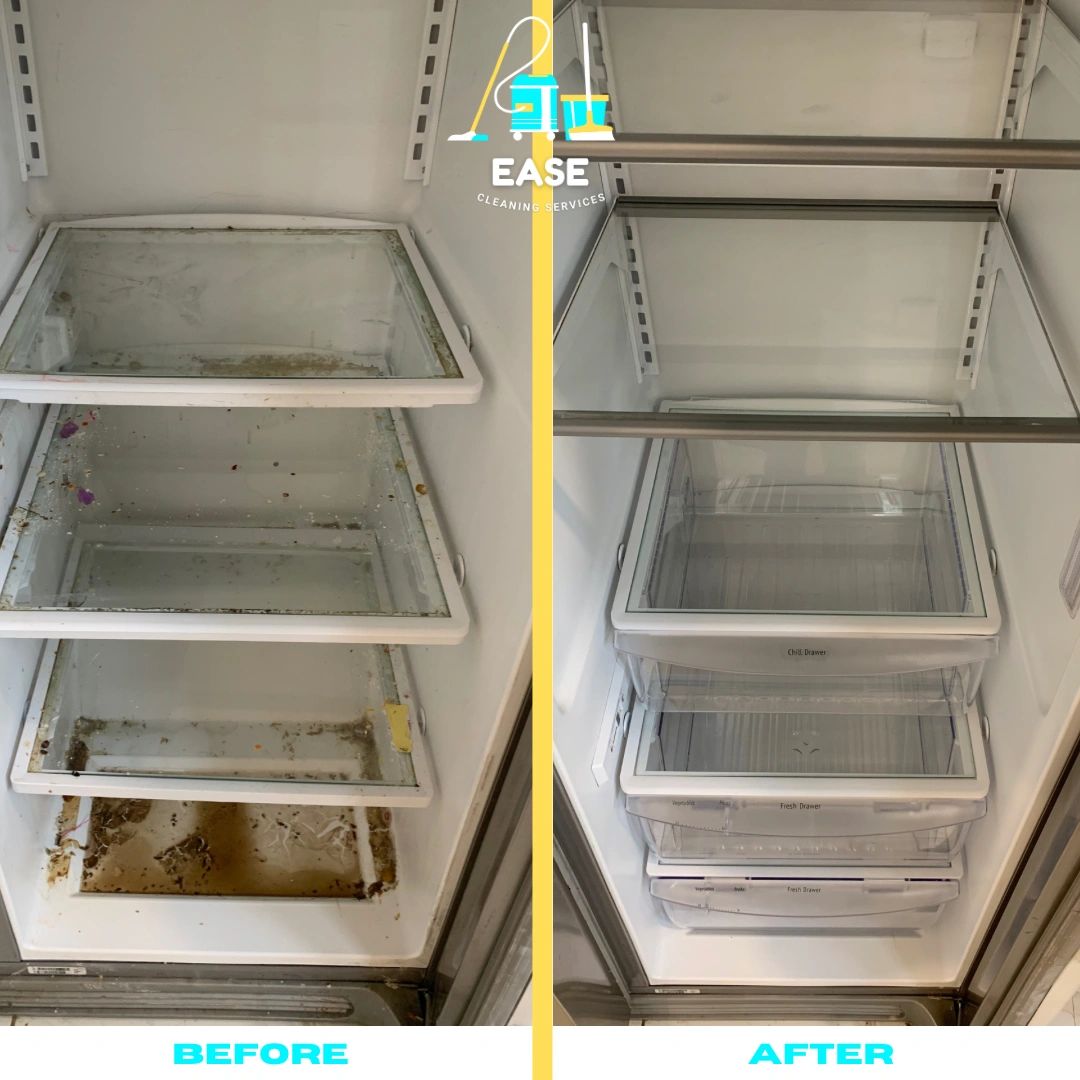 Fridge Cleaning Services