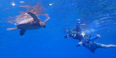 snorkel with turtles
