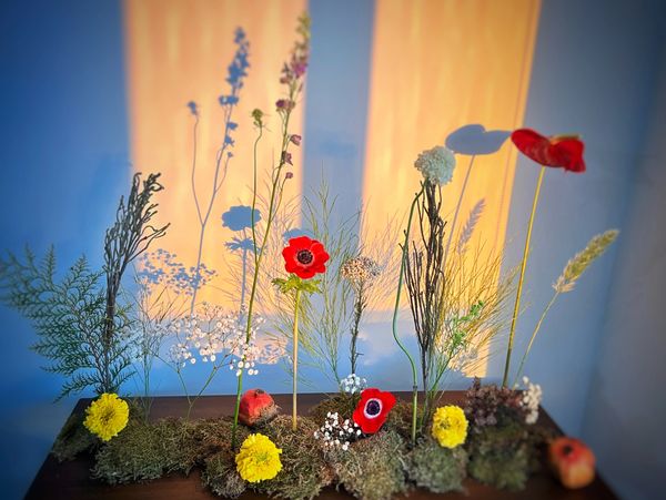 Colorful tablescape arranged artistically with dramatic light and shadows.