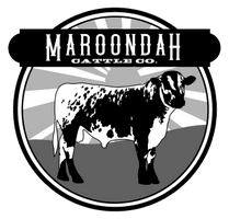 Maroondah Cattle Co