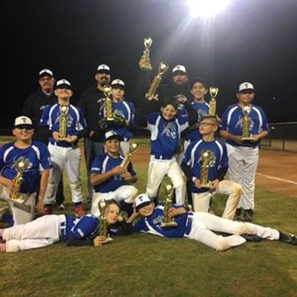 2018-2019 Thompson Middle School Little League Champions