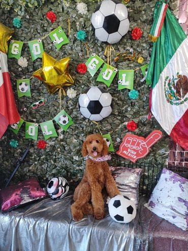 Perro en celebración de fútbol con banderas mexicanas y decoraciones.