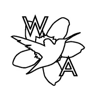 Wiseacre Audio