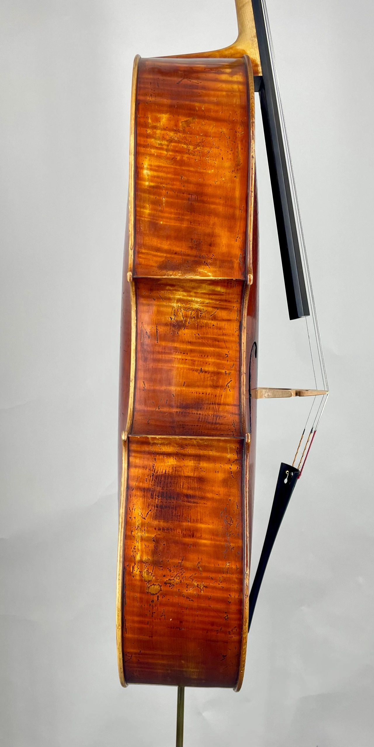 Side view of a vintage cello showing its wooden body and strings.