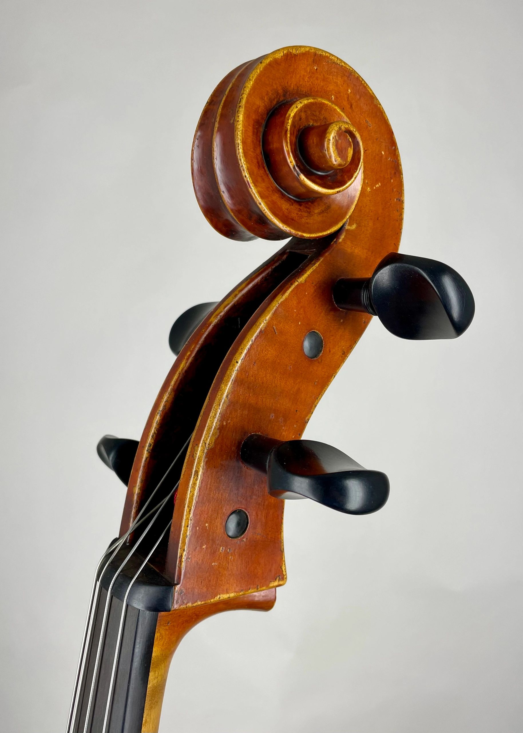 Close-up of a violin scroll and tuning pegs.