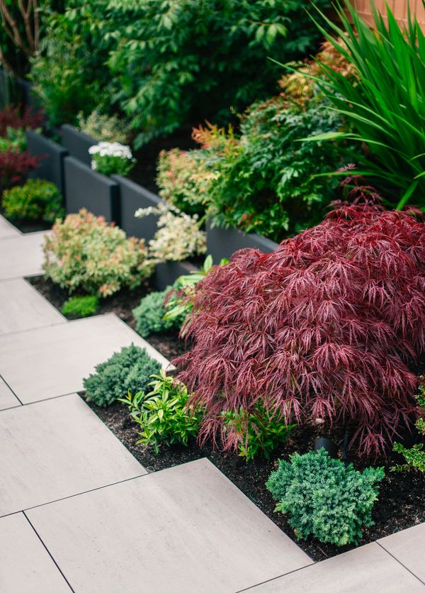 Concrete slab retaining wall, privacy screen, porcelain slab patio, fire pit, artificial turf lawn 