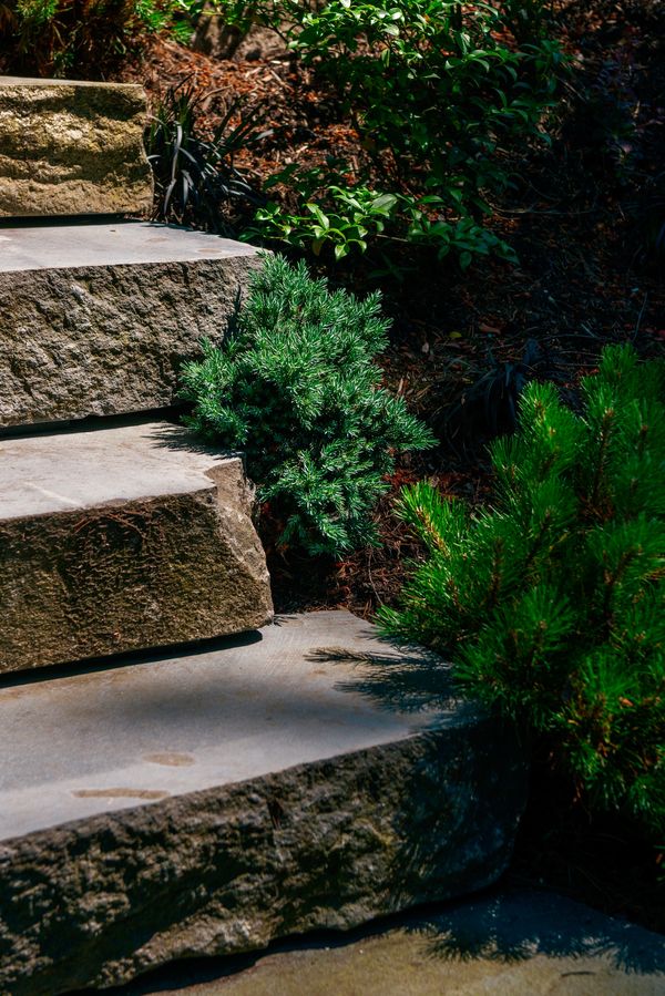Basalt stone stair floating detail, planting detail, back yard stairs in North Vancouver