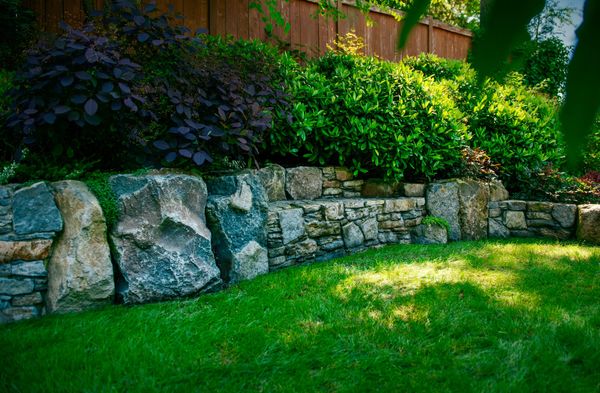 Basalt stone retaining wall and built in bench, pergola, lawn area, bluestone stepping stone walkway