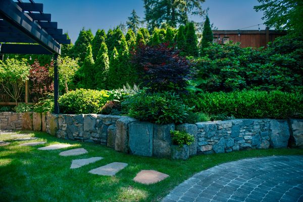 Basalt stone retaining wall, custom built pergola, lawn area, bluestone stepping stone walkway
