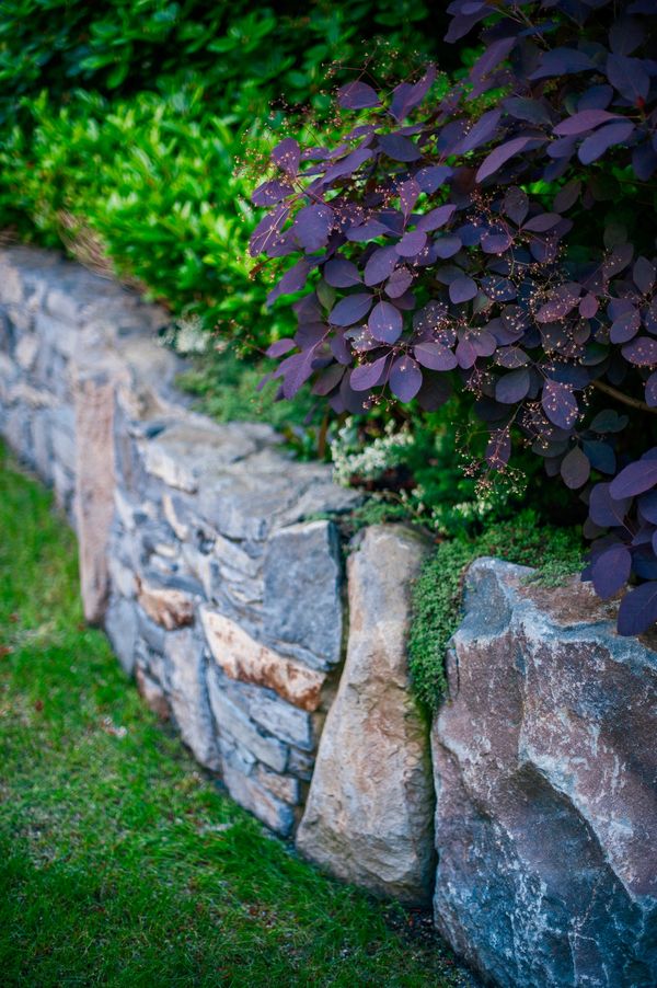 Basalt stone retaining wall, lawn area, patio, planting details, front yard in North Vancouver