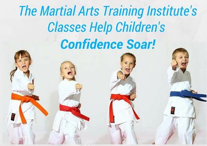 Martial Arts Training Institute