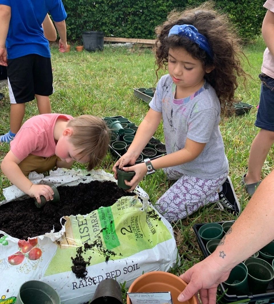 Children learning in nature at Butterfly Cooperative School