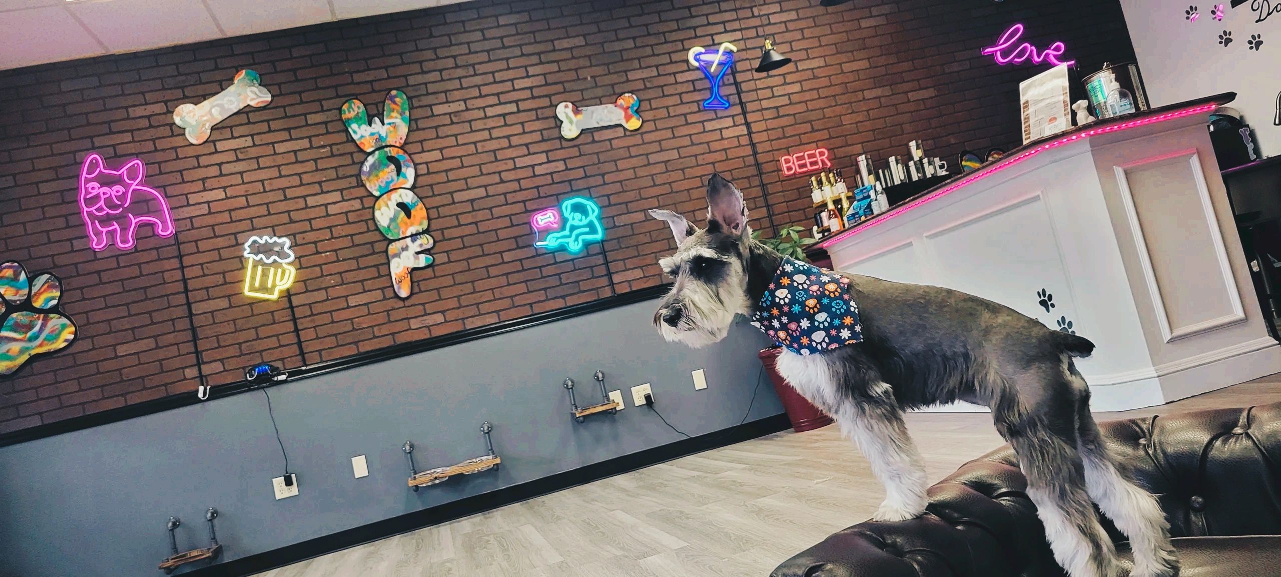 Fine Whines and Lickers Dog Bar & Spa