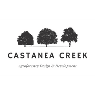Castanea Creek
