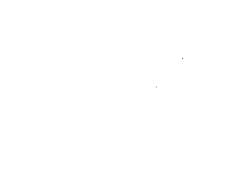 noli sports marketing