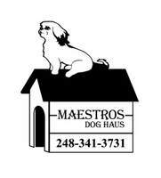 Maestros Dog Haus
