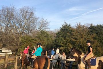Lessons | Royal Oaks Equestrian Center
