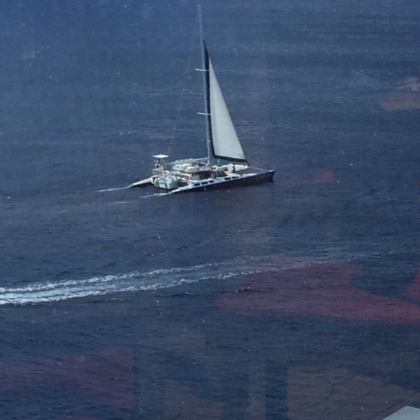 Catamaran 