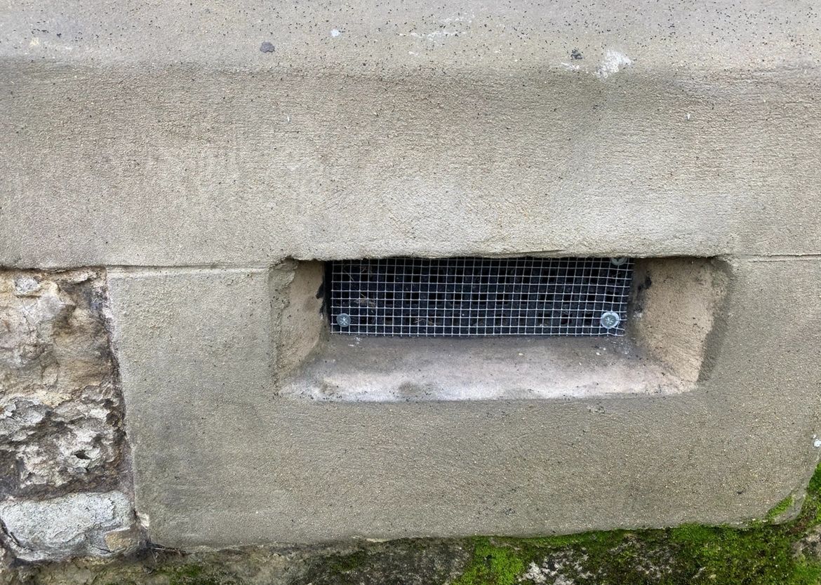 Can Mice Get In Through Brick Vents at Ted Moore blog