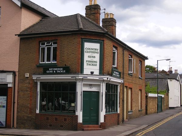 Pest Control Services In and Around Weybridge KT13