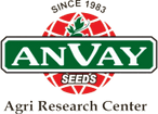 Anvay Seeds