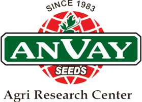 Anvay Seeds