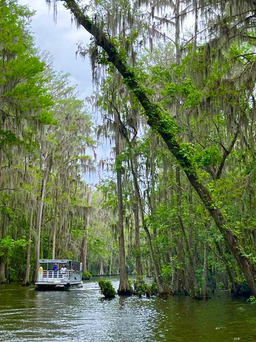 Jacksonville Boat Storage, Marina, Lakeshore, Boat Repairs