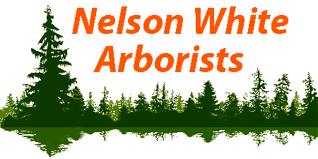 Nelson White Arborists